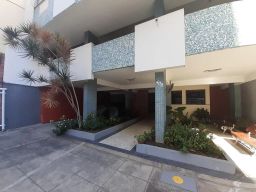 https://img.olx.com.br/thumbs256x256/56/560541166592387.jpg