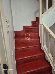 https://img.olx.com.br/thumbs256x256/56/560564641063868.jpg