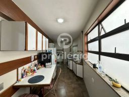 https://img.olx.com.br/thumbs256x256/56/560586757943125.jpg