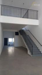 https://img.olx.com.br/thumbs256x256/56/560595161286342.jpg