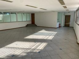 https://img.olx.com.br/thumbs256x256/56/560682314909687.jpg