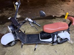 https://img.olx.com.br/thumbs256x256/56/561531519956407.jpg