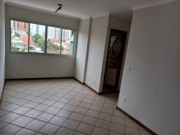 https://img.olx.com.br/thumbs256x256/56/561536640512361.jpg