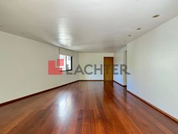 https://img.olx.com.br/thumbs256x256/56/561539528953891.jpg