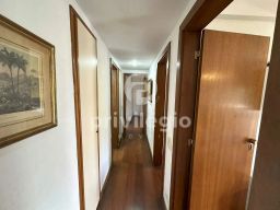 https://img.olx.com.br/thumbs256x256/56/561564155201495.jpg