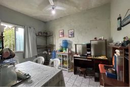 https://img.olx.com.br/thumbs256x256/56/562519524912813.jpg