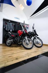 https://img.olx.com.br/thumbs256x256/56/563320460380829.jpg