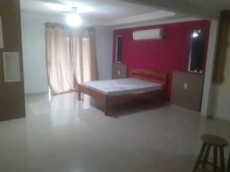 https://img.olx.com.br/thumbs256x256/56/563505634725777.jpg