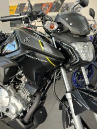https://img.olx.com.br/thumbs256x256/56/563563266108885.jpg