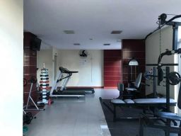 https://img.olx.com.br/thumbs256x256/56/563583765214936.jpg
