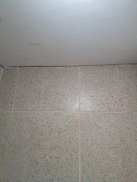 https://img.olx.com.br/thumbs256x256/56/563607482514582.jpg