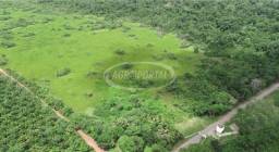 Título do anúncio: Fazenda no Pará - Abaetetuba - 200 ha (41 alq)