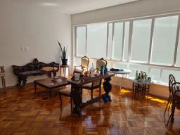 https://img.olx.com.br/thumbs256x256/56/564359357455164.jpg