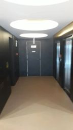https://img.olx.com.br/thumbs256x256/56/564565632165949.jpg