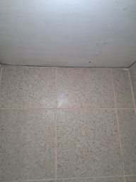 https://img.olx.com.br/thumbs256x256/56/564673125389618.jpg