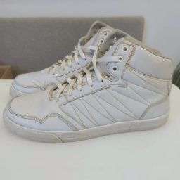 https://img.olx.com.br/thumbs256x256/56/565505738844477.jpg