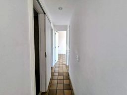 https://img.olx.com.br/thumbs256x256/56/565508768183187.jpg