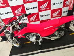 https://img.olx.com.br/thumbs256x256/56/565509284247044.jpg