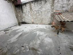 https://img.olx.com.br/thumbs256x256/56/565521641039487.jpg