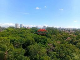 https://img.olx.com.br/thumbs256x256/56/565551401557585.jpg