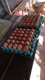 Título do anúncio: Bandeja de ovos 12 reais a Bandeja com 30 ovos
