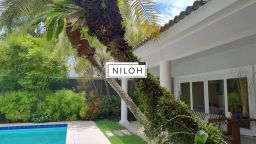 https://img.olx.com.br/thumbs256x256/56/566531623379843.jpg