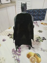 https://img.olx.com.br/thumbs256x256/56/566593154975009.jpg