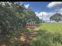 https://img.olx.com.br/thumbs256x256/56/566618429223047.jpg