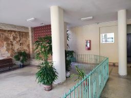 https://img.olx.com.br/thumbs256x256/56/567513284435655.jpg