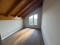 https://img.olx.com.br/thumbs256x256/56/567529511962999.jpg
