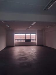 https://img.olx.com.br/thumbs256x256/56/567538130050411.jpg