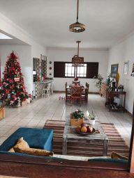 https://img.olx.com.br/thumbs256x256/56/567538884253729.jpg