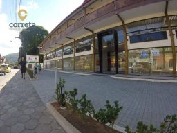 https://img.olx.com.br/thumbs256x256/56/567583648439553.jpg