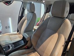 https://img.olx.com.br/thumbs256x256/56/567591275094358.jpg