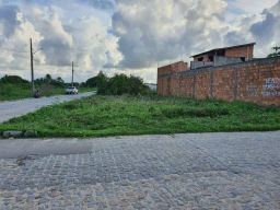 https://img.olx.com.br/thumbs256x256/56/568423031645064.jpg