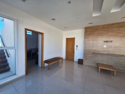 https://img.olx.com.br/thumbs256x256/56/568517512164955.jpg
