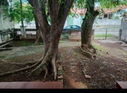 https://img.olx.com.br/thumbs256x256/56/568593163317447.jpg