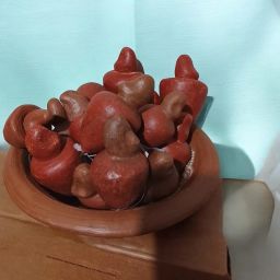 https://img.olx.com.br/thumbs256x256/56/569651188098341.jpg
