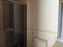 https://img.olx.com.br/thumbs256x256/57/570504528885811.jpg