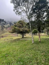 https://img.olx.com.br/thumbs256x256/57/571572760210705.jpg