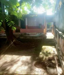 https://img.olx.com.br/thumbs256x256/57/572566880428078.jpg