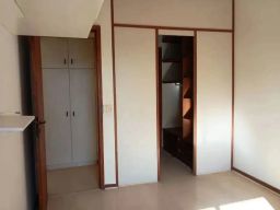 https://img.olx.com.br/thumbs256x256/57/572581523873026.jpg