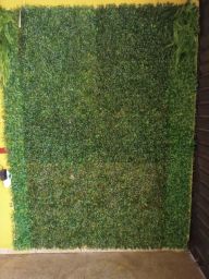 https://img.olx.com.br/thumbs256x256/57/573569395107404.jpg
