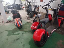 https://img.olx.com.br/thumbs256x256/57/573593252256544.jpg