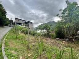 https://img.olx.com.br/thumbs256x256/57/574568401202203.jpg