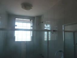 https://img.olx.com.br/thumbs256x256/57/574590401880156.jpg