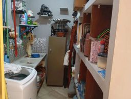 https://img.olx.com.br/thumbs256x256/57/575598765176976.jpg