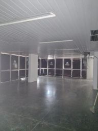 https://img.olx.com.br/thumbs256x256/57/576528501428258.jpg