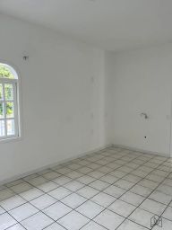 https://img.olx.com.br/thumbs256x256/57/576544643491790.jpg