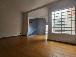 https://img.olx.com.br/thumbs256x256/57/577539041078708.jpg
